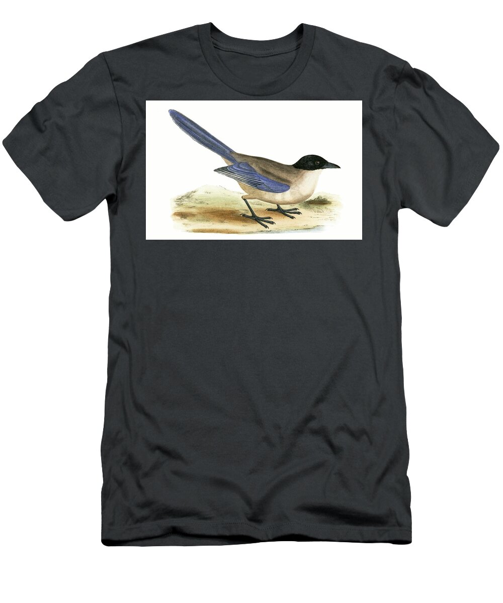 Azure Winged Magpie T-Shirt featuring the painting Azure Winged Magpie by English School