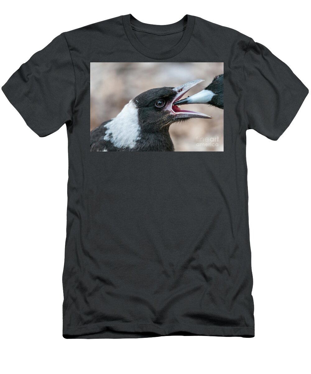 Magpie T-Shirt featuring the photograph Baby Magpie 2 by Werner Padarin