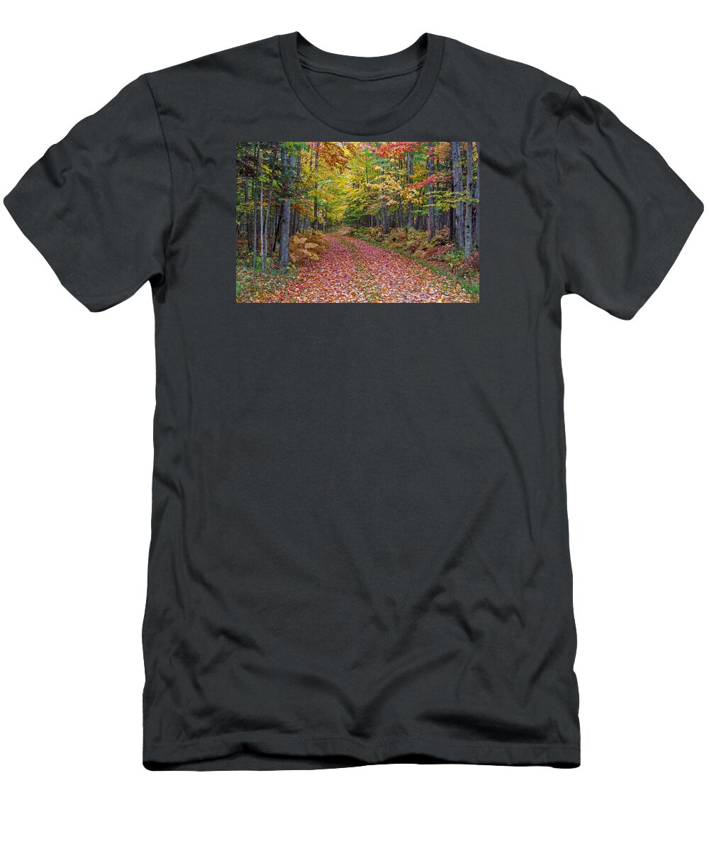 Fall T-Shirt featuring the photograph Back Road Color Tour by Gary McCormick