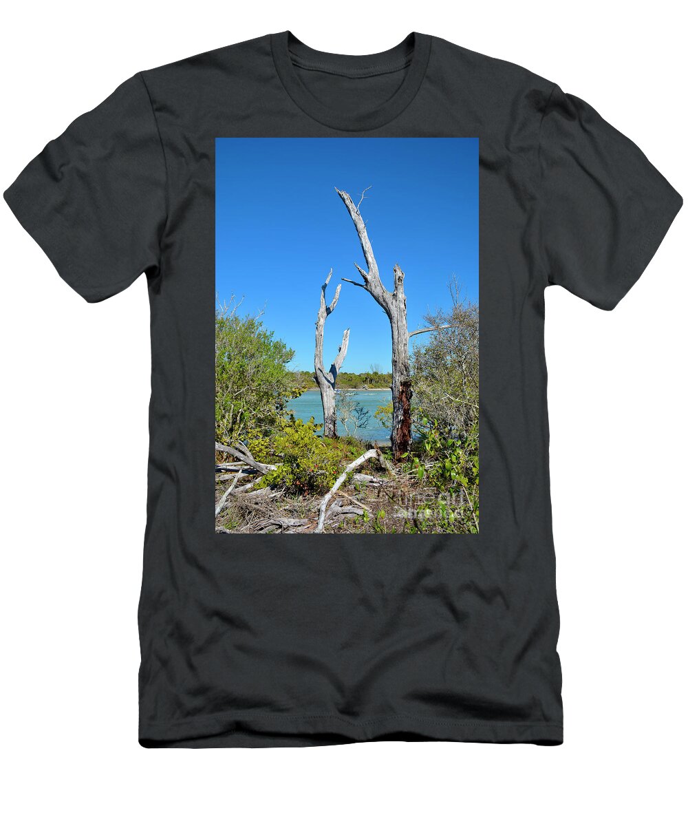 Wood T-Shirt featuring the photograph Balance by Alison Belsan Horton