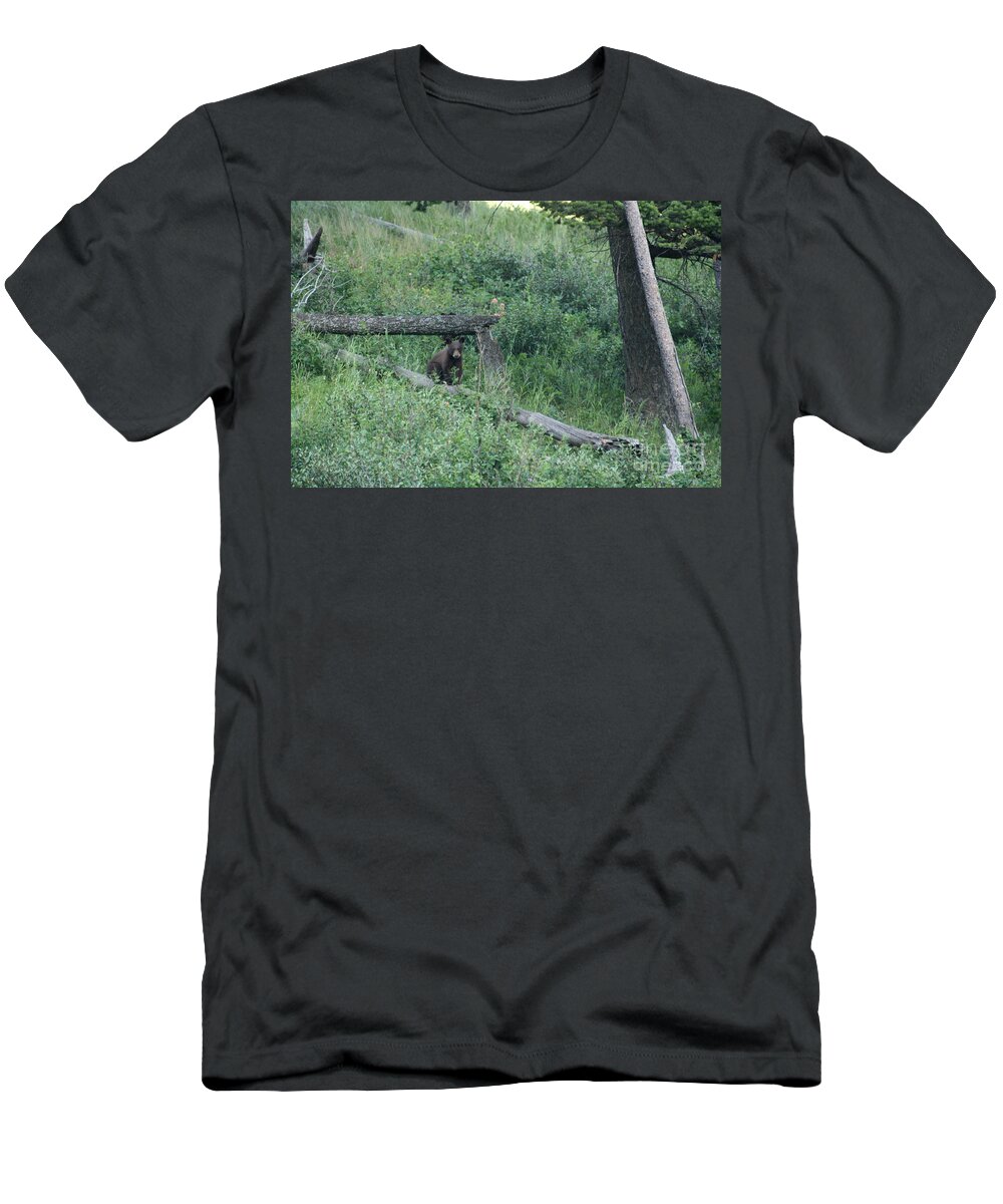 Animal T-Shirt featuring the photograph Balance Beam by Mary Mikawoz