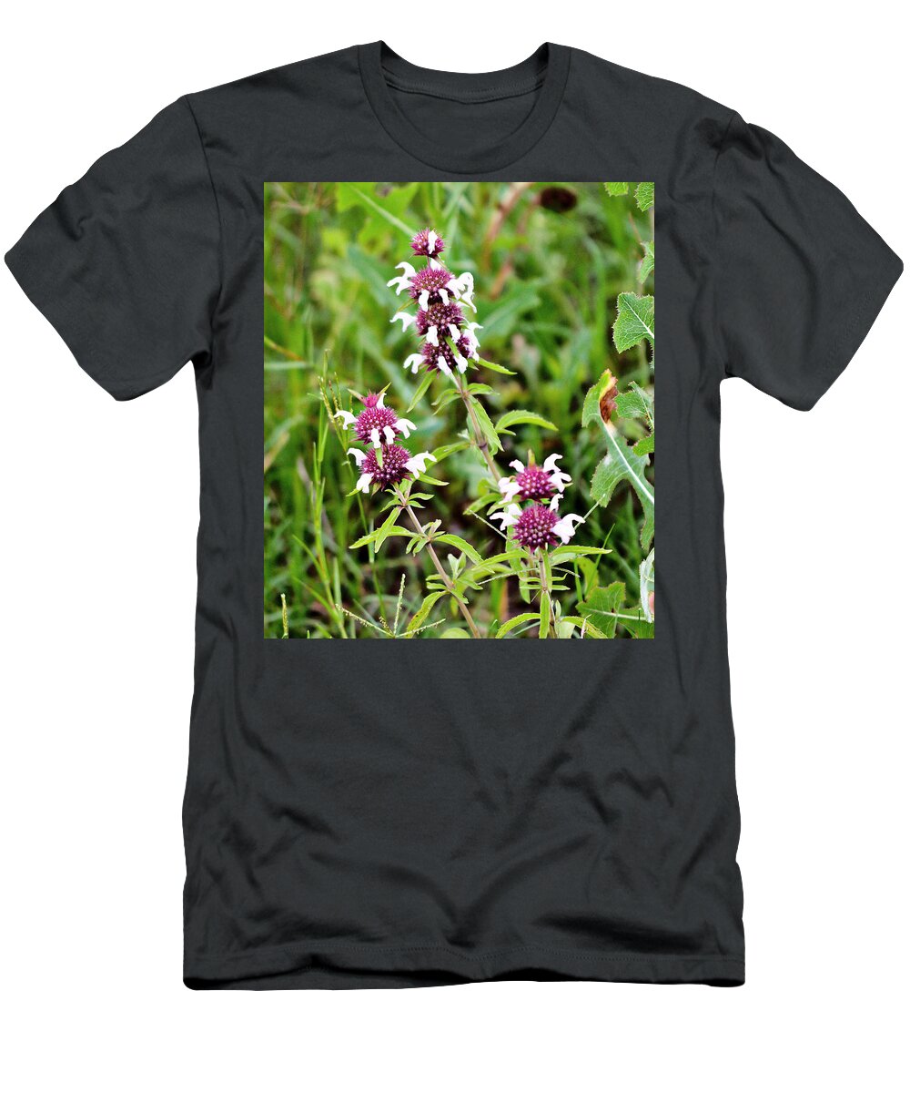 Wildflowers T-Shirt featuring the photograph Balancing balls by James Smullins