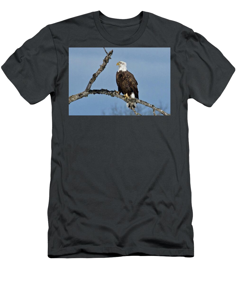 Bird T-Shirt featuring the photograph Bald Eagle 0472 by Michael Peychich