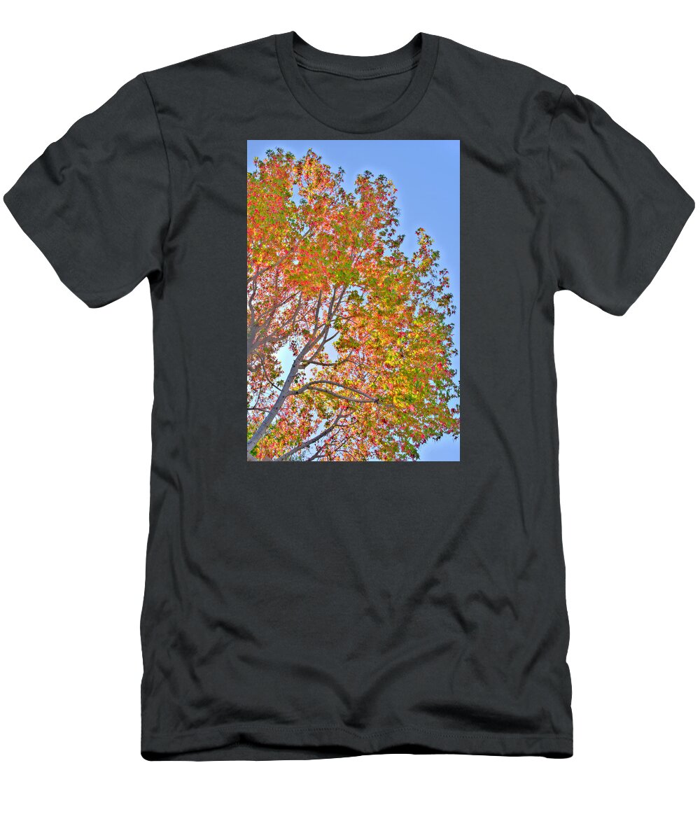 Fall T-Shirt featuring the photograph Ball to the Wall Fall by Derek Dean
