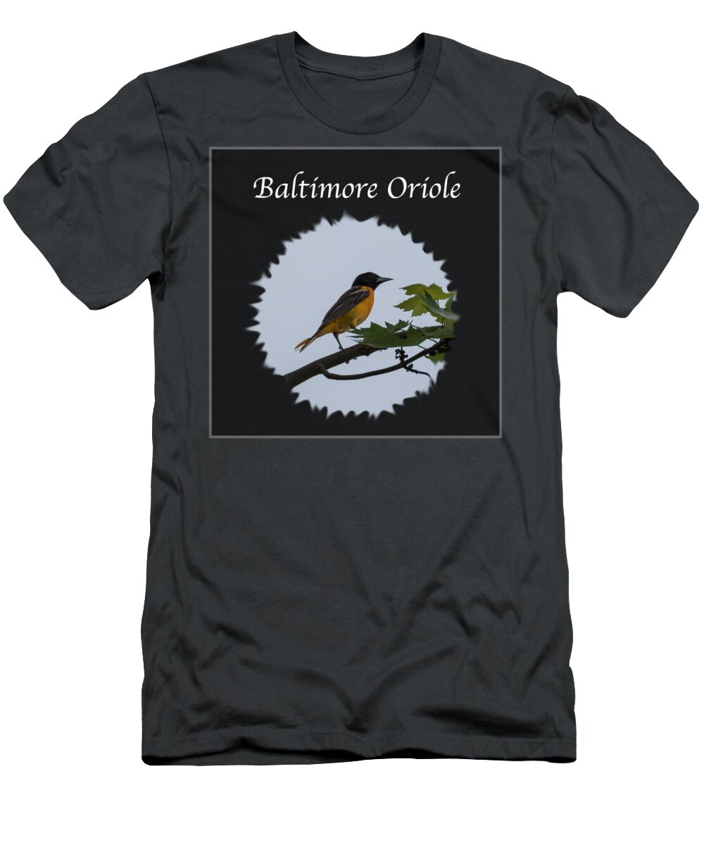 Baltimore Oriole T-Shirt featuring the photograph Baltimore Oriole by Holden The Moment