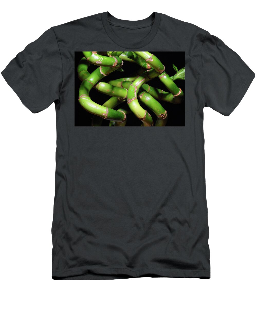Bamboo T-Shirt featuring the photograph Bamboozle by Ted Keller