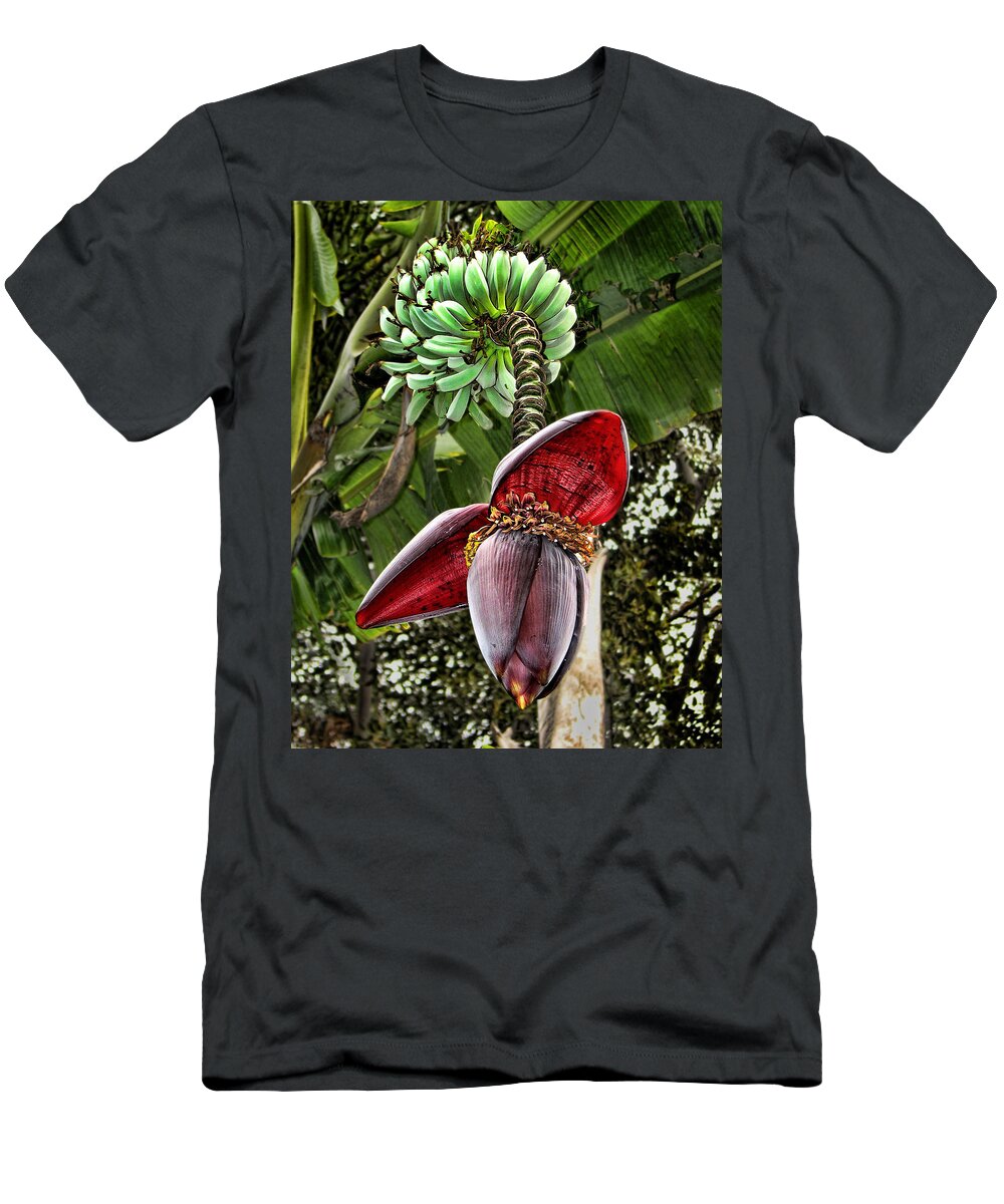 Banana Tree T-Shirt featuring the photograph Banana Tree by Helaine Cummins