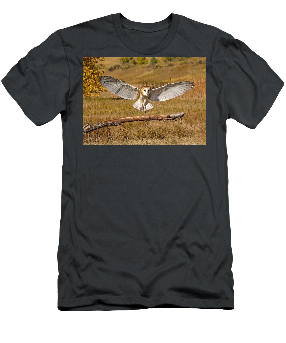 Barn Owl T-Shirt featuring the photograph Barn Owl Landing by Dawn Key
