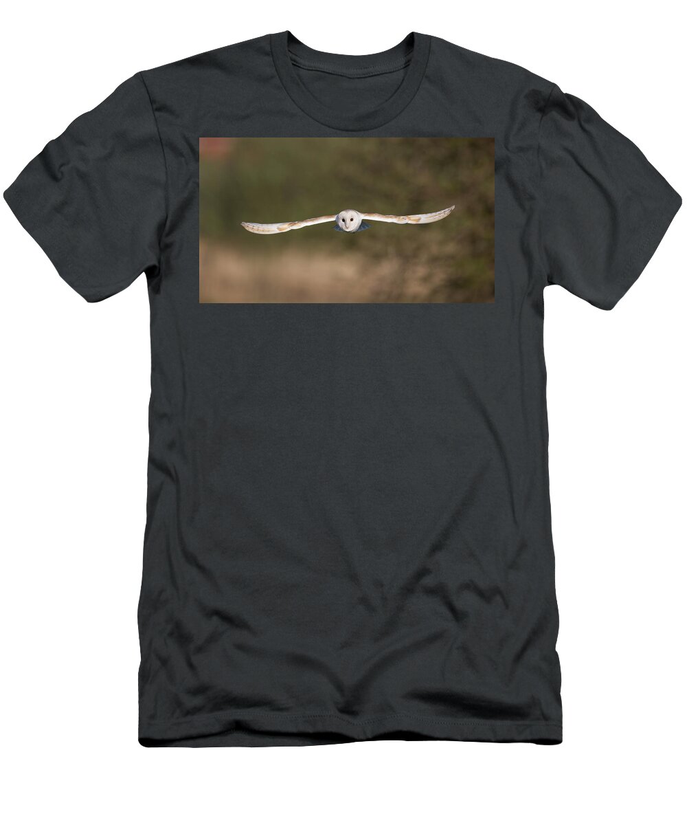 Barn Owl T-Shirt featuring the photograph Barn Owl Wingspan by Pete Walkden