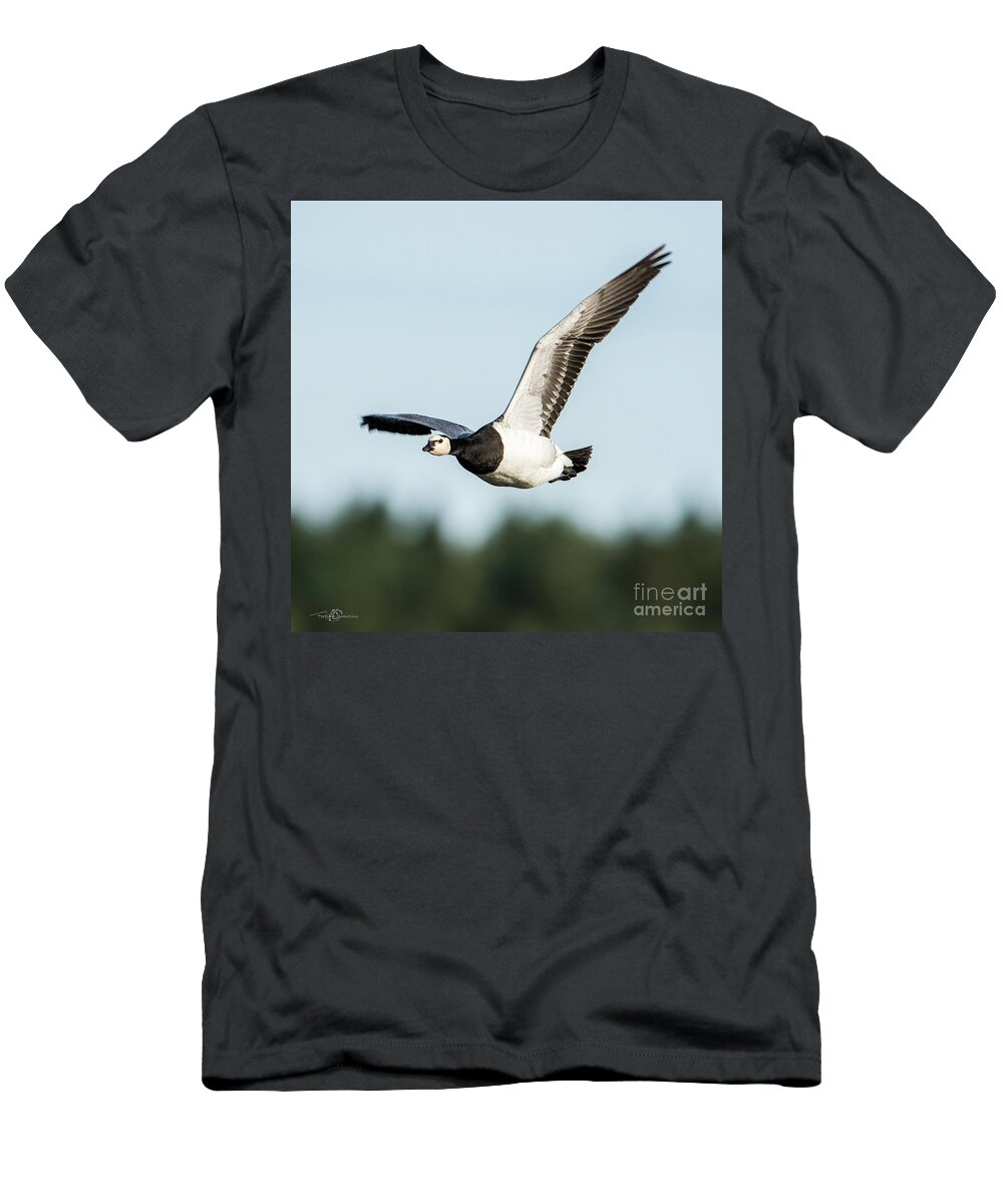 Barnacle Goose T-Shirt featuring the photograph Barnacle Goose square by Torbjorn Swenelius
