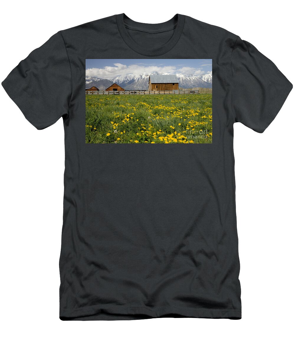 Farms T-Shirt featuring the photograph Barns In A Dandelion Field by Inga Spence