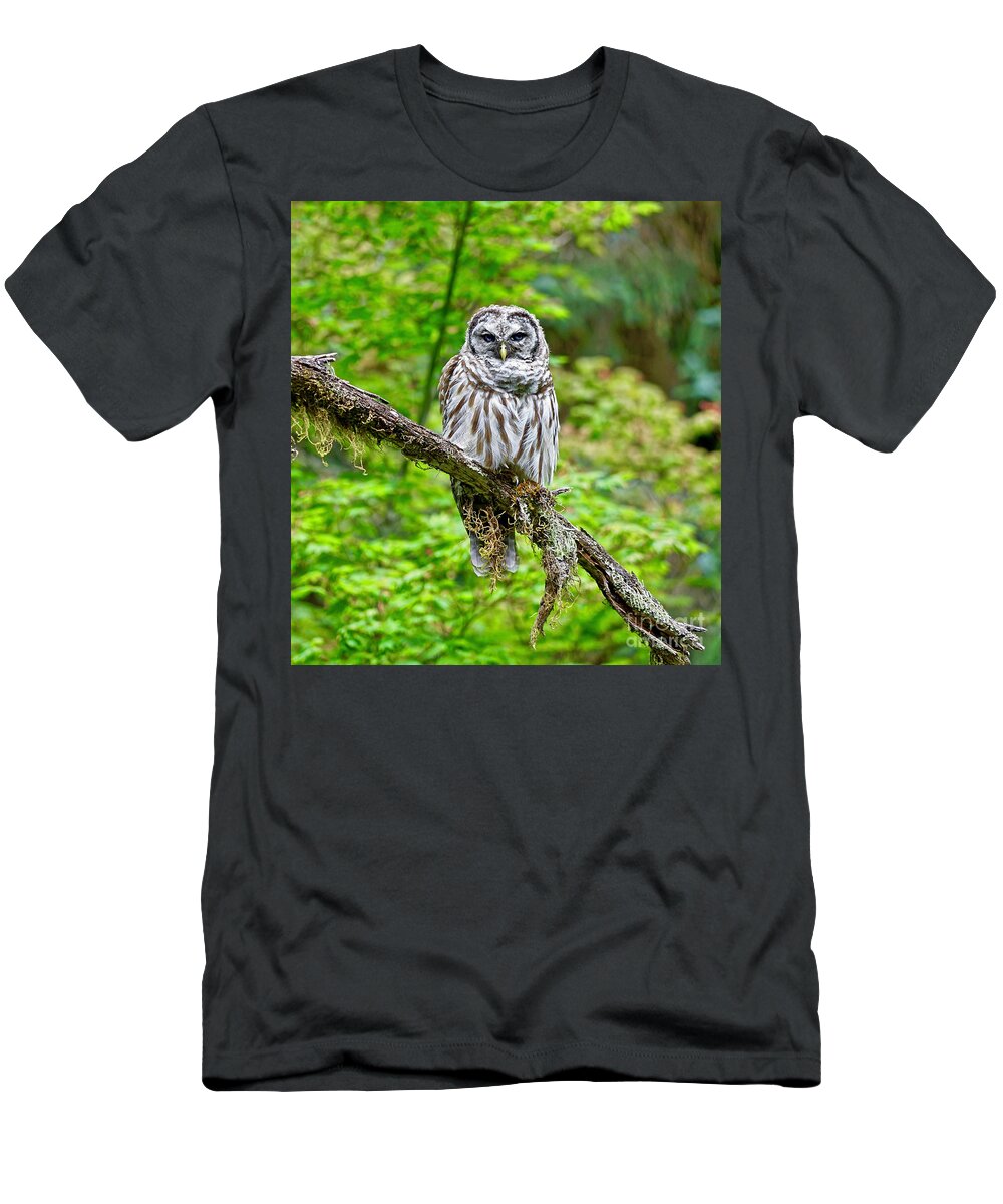 Bird T-Shirt featuring the photograph Barred Owl by Michael Cinnamond