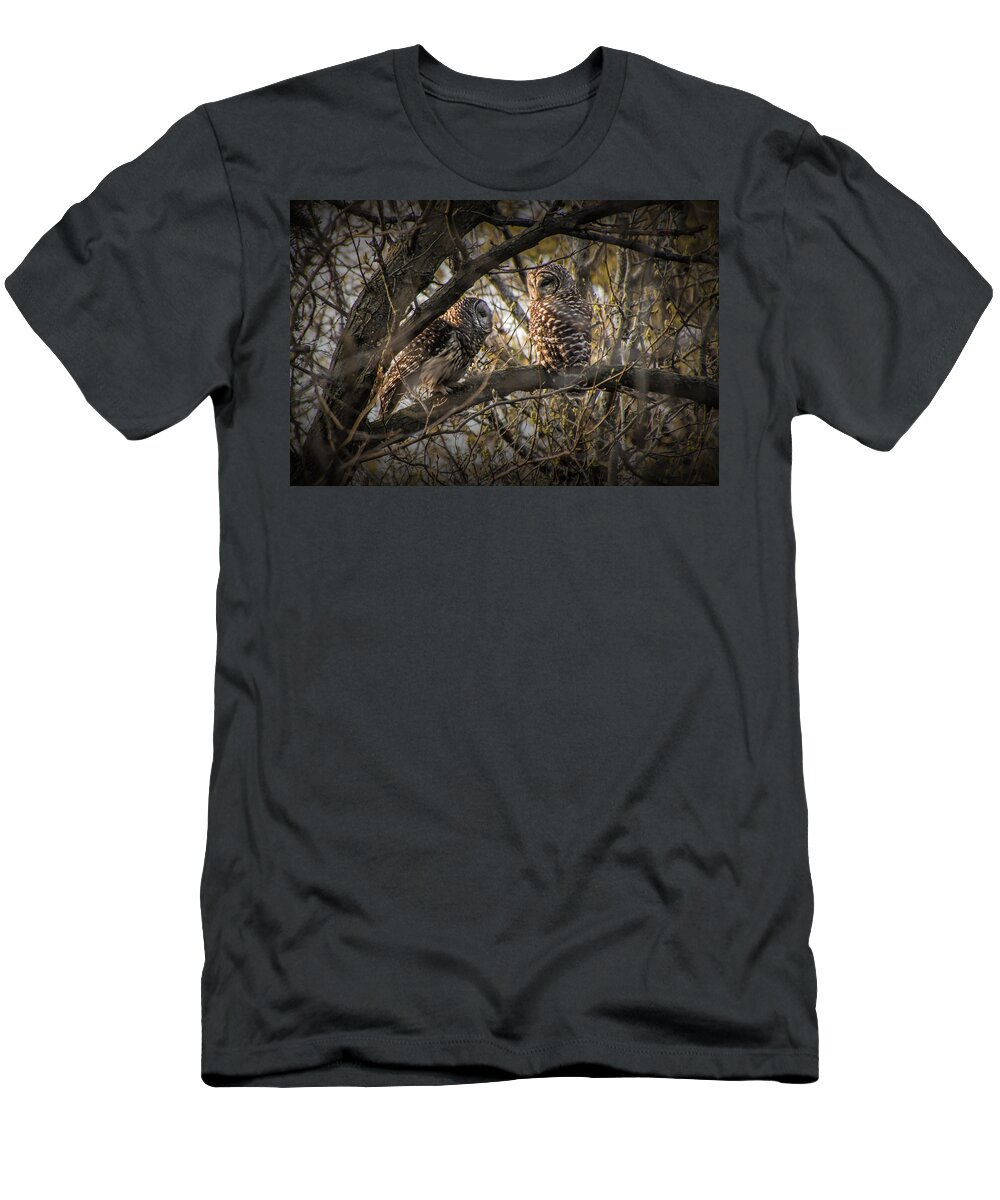 Bird T-Shirt featuring the photograph Barred Owls perched on a Tree Branch by Randall Nyhof