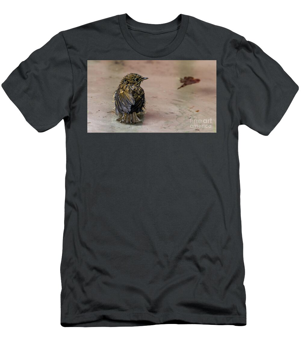 Bathing Robin T-Shirt featuring the photograph Bathing by Torbjorn Swenelius