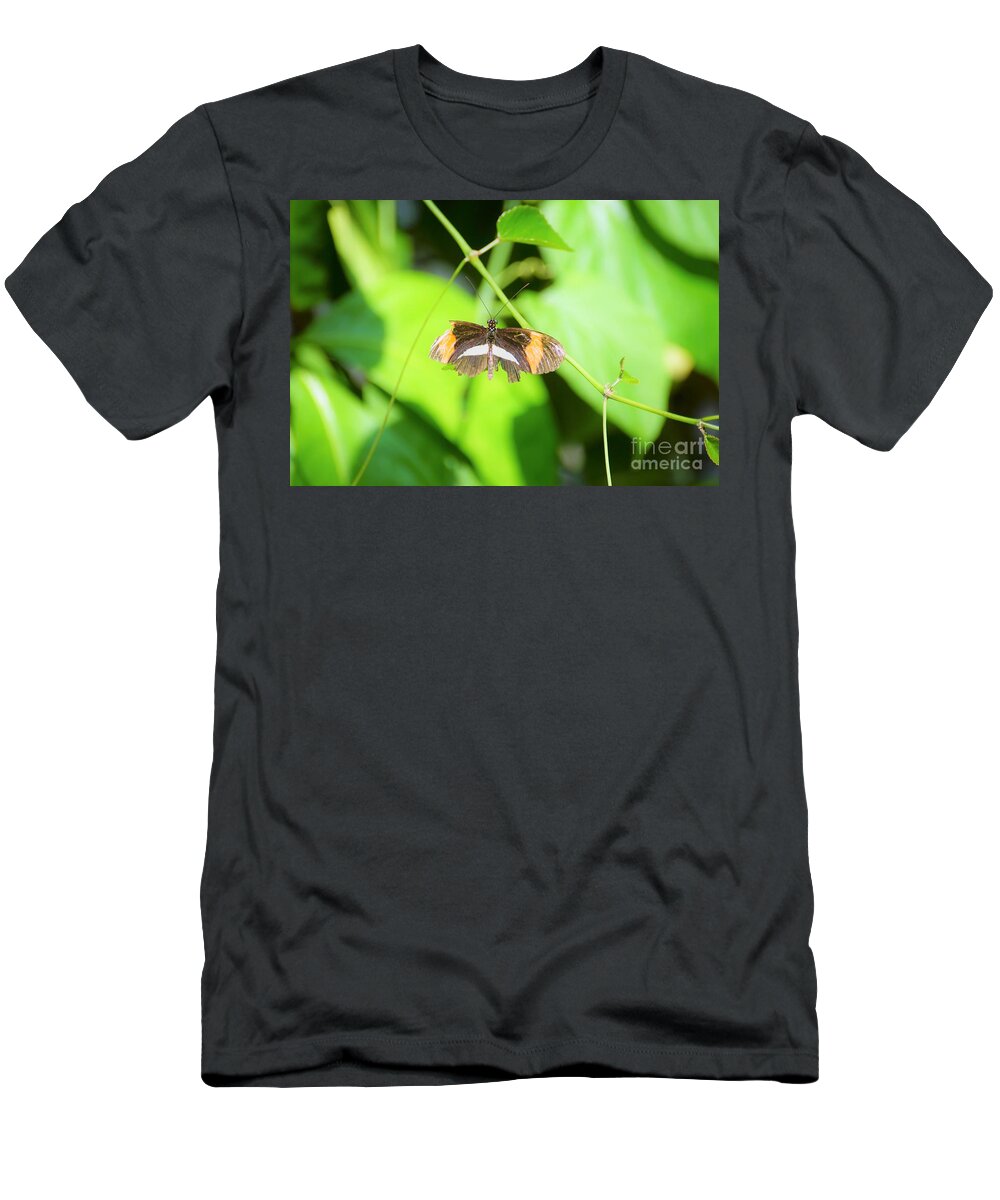 Cleveland Ohio Butterfly T-Shirt featuring the photograph Battle-worn Survivor by Merle Grenz