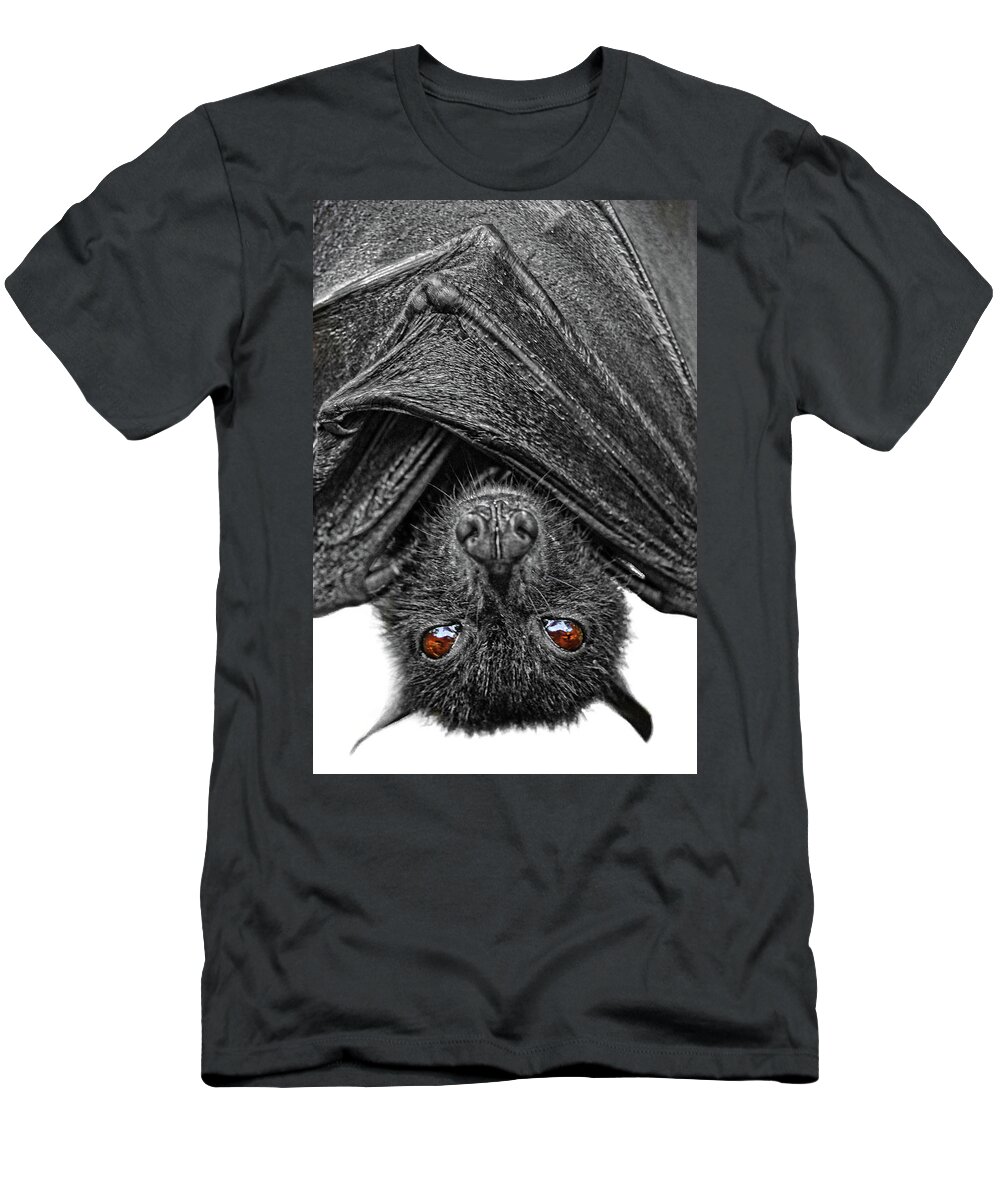 Bat T-Shirt featuring the photograph Be Afraid by Yhun Suarez