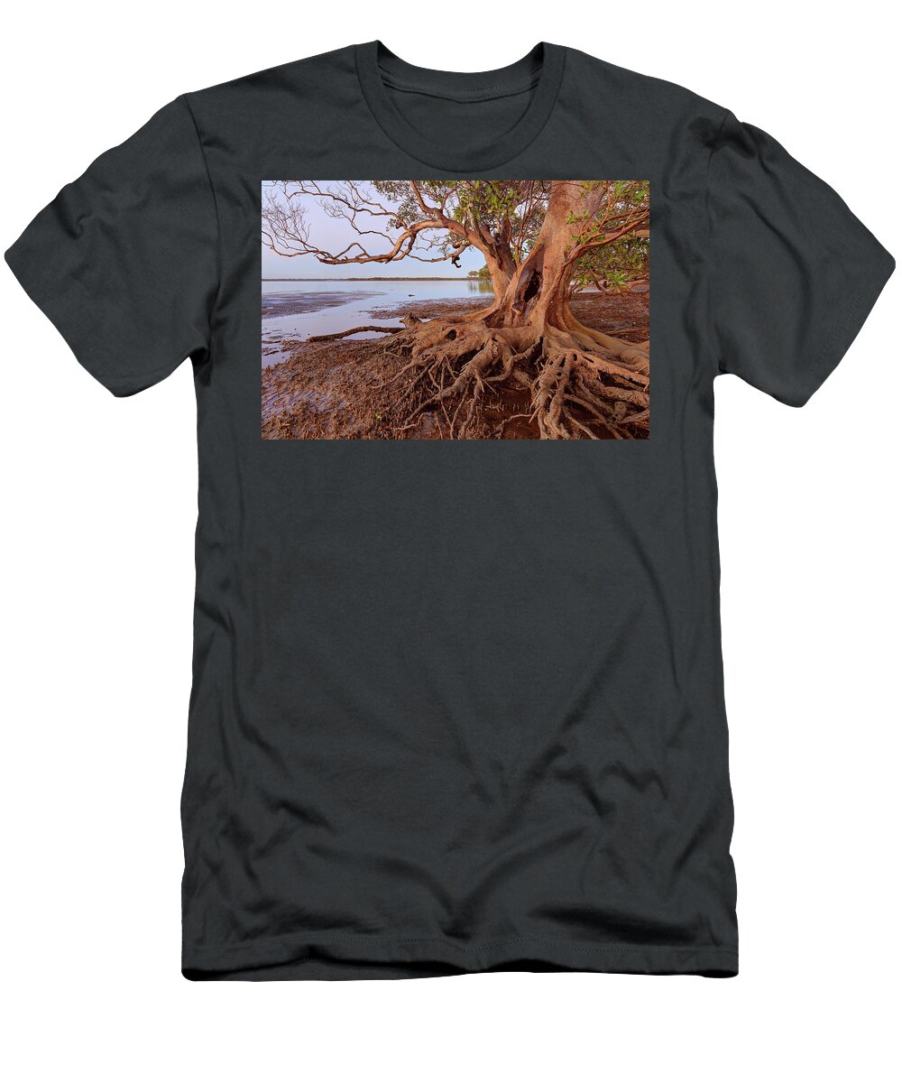 Mangrove T-Shirt featuring the photograph Beachmere, Queensland, Australia by Robert Charity