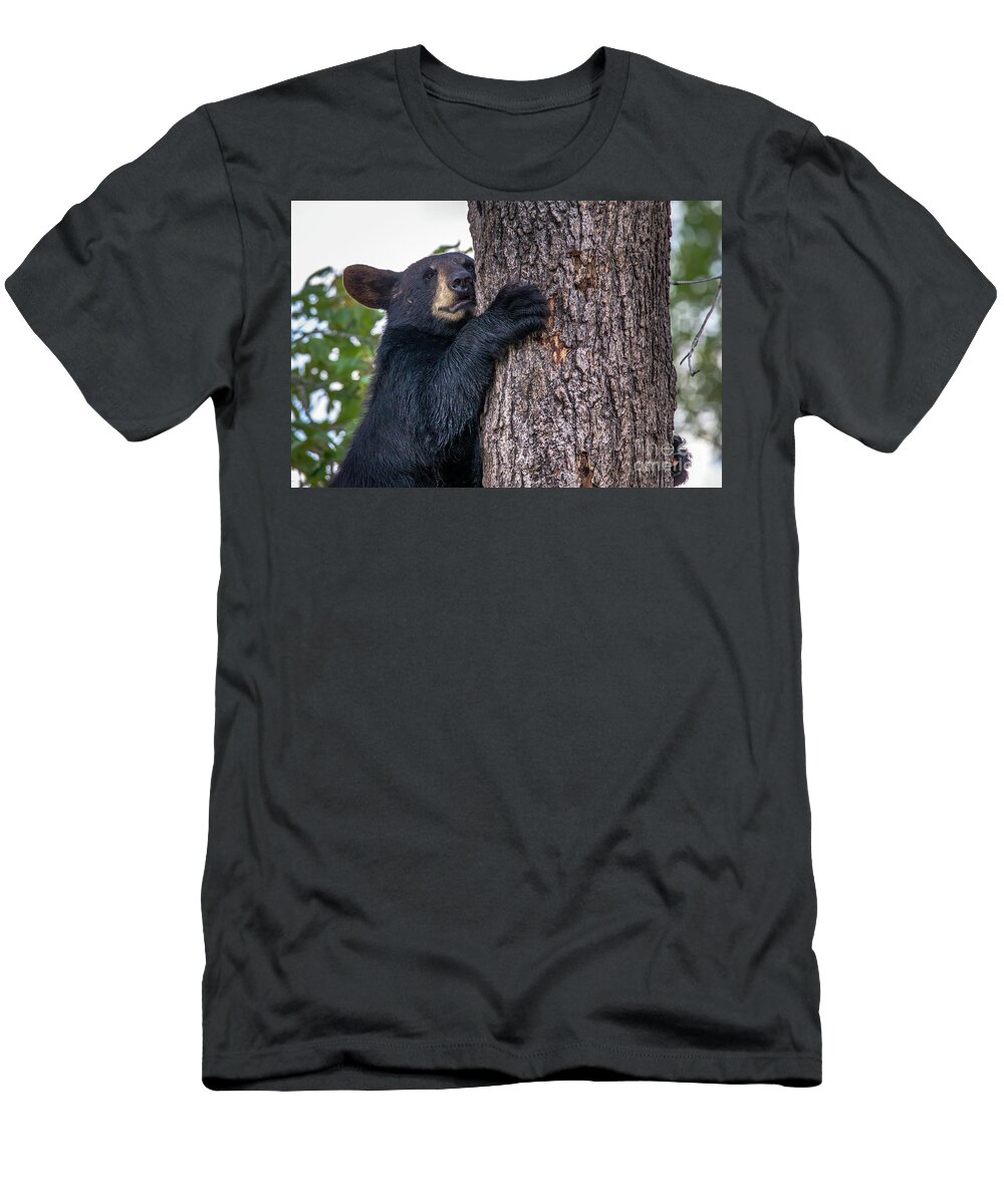 Bear T-Shirt featuring the photograph Bear Cub-1261 by Norris Seward