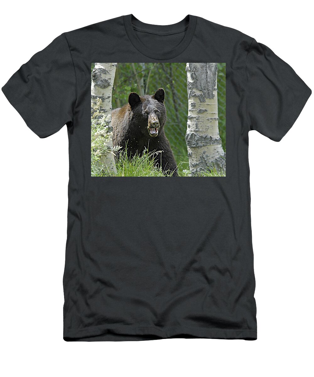 Bear T-Shirt featuring the photograph Bear In Yard by Gary Beeler