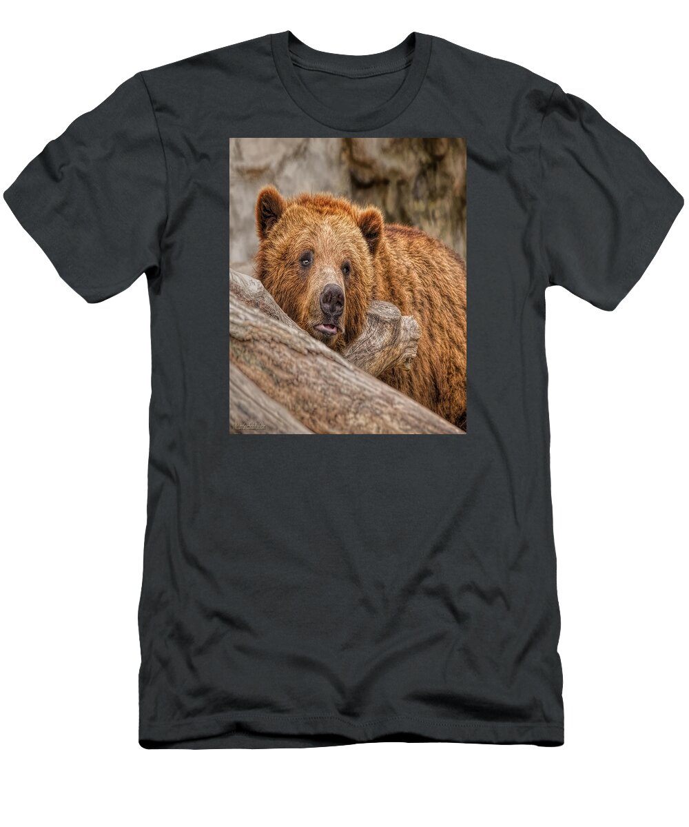 Nature Wear T-Shirt featuring the photograph Bear Nature Wear by LeeAnn McLaneGoetz McLaneGoetzStudioLLCcom