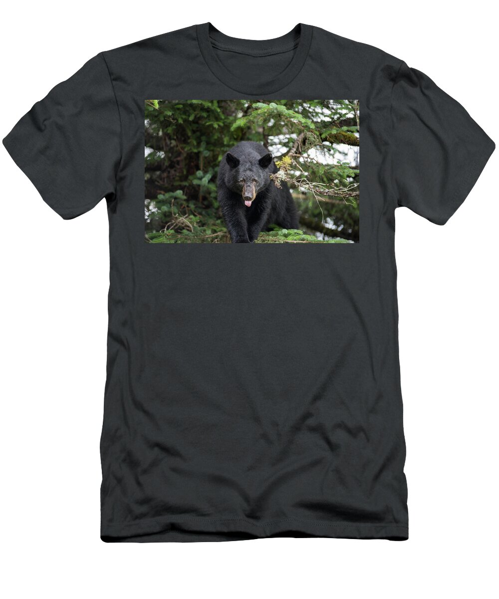 Black Bear T-Shirt featuring the photograph Bear Tongue by David Kirby