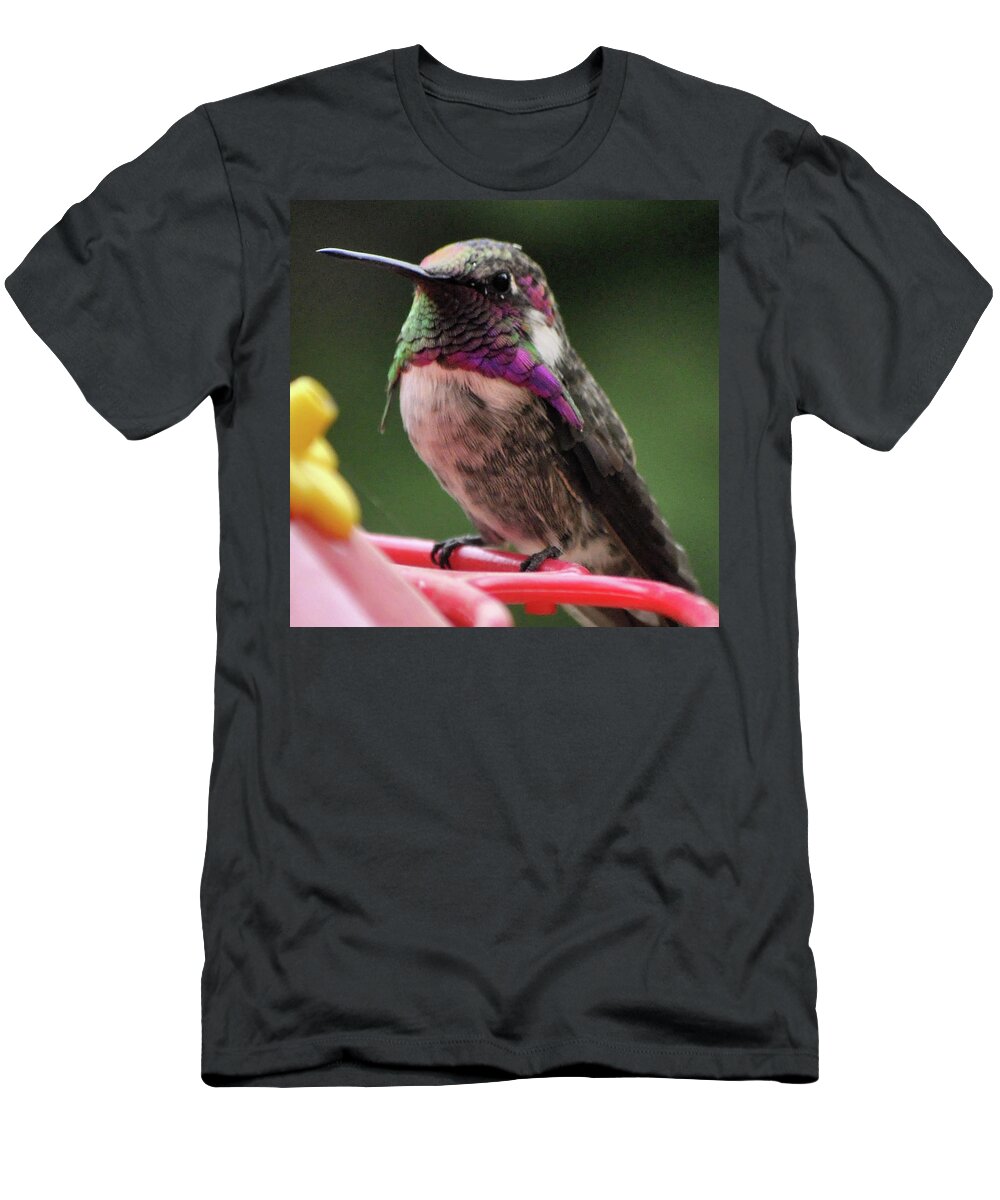 Animal T-Shirt featuring the photograph Beautiful Anna's Hummingbird On Perch by Jay Milo