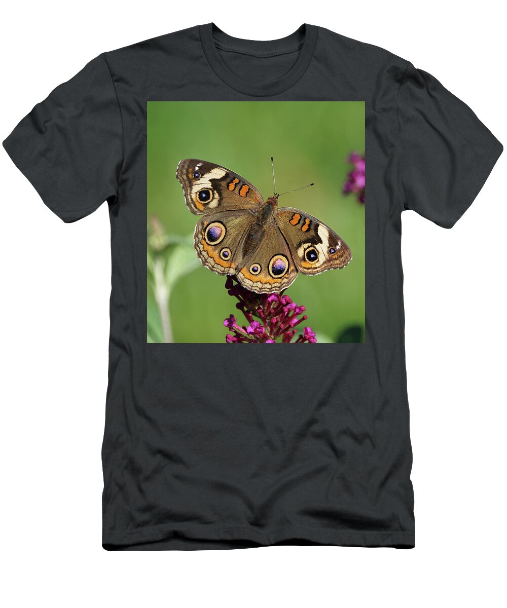 Butterfly T-Shirt featuring the photograph Beautiful Buckeye Butterfly by Robert E Alter Reflections of Infinity