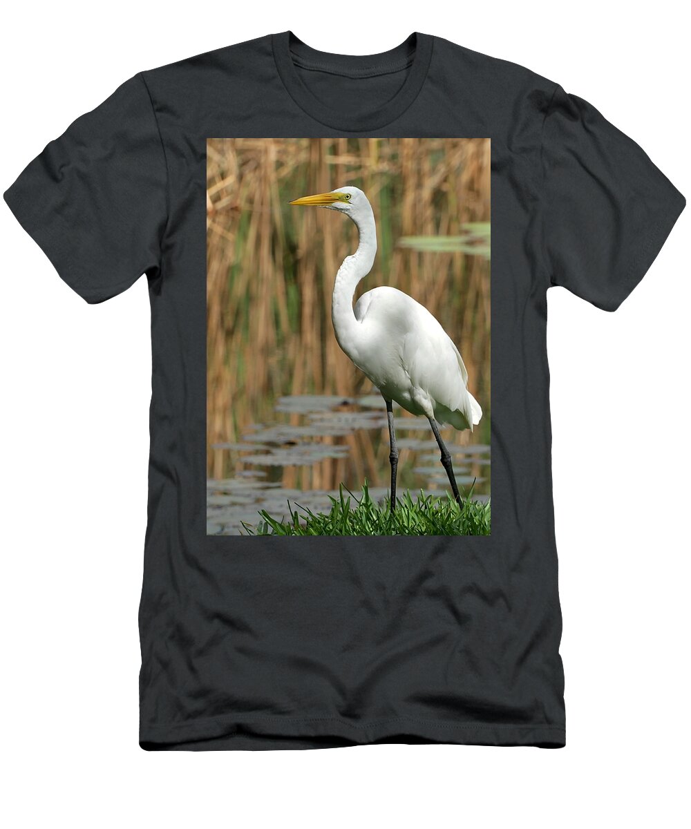 Egret T-Shirt featuring the photograph Beautiful Great White Egret by Sabrina L Ryan