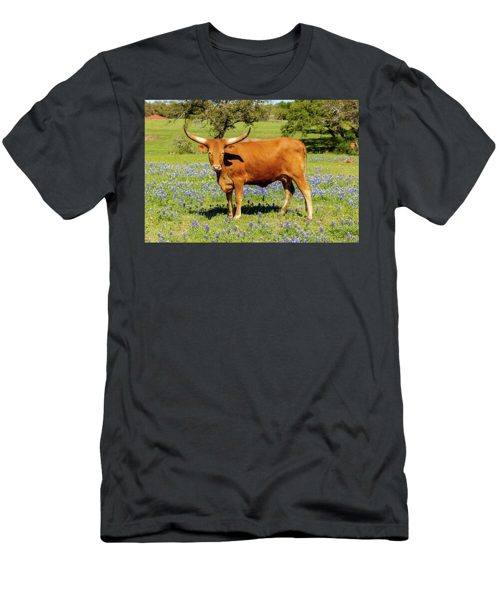 African Breed T-Shirt featuring the photograph Beautiful longhorn cow by Raul Rodriguez