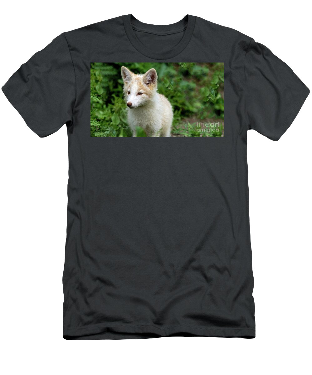Fox T-Shirt featuring the photograph Beautiful young fox portrait by Sam Rino