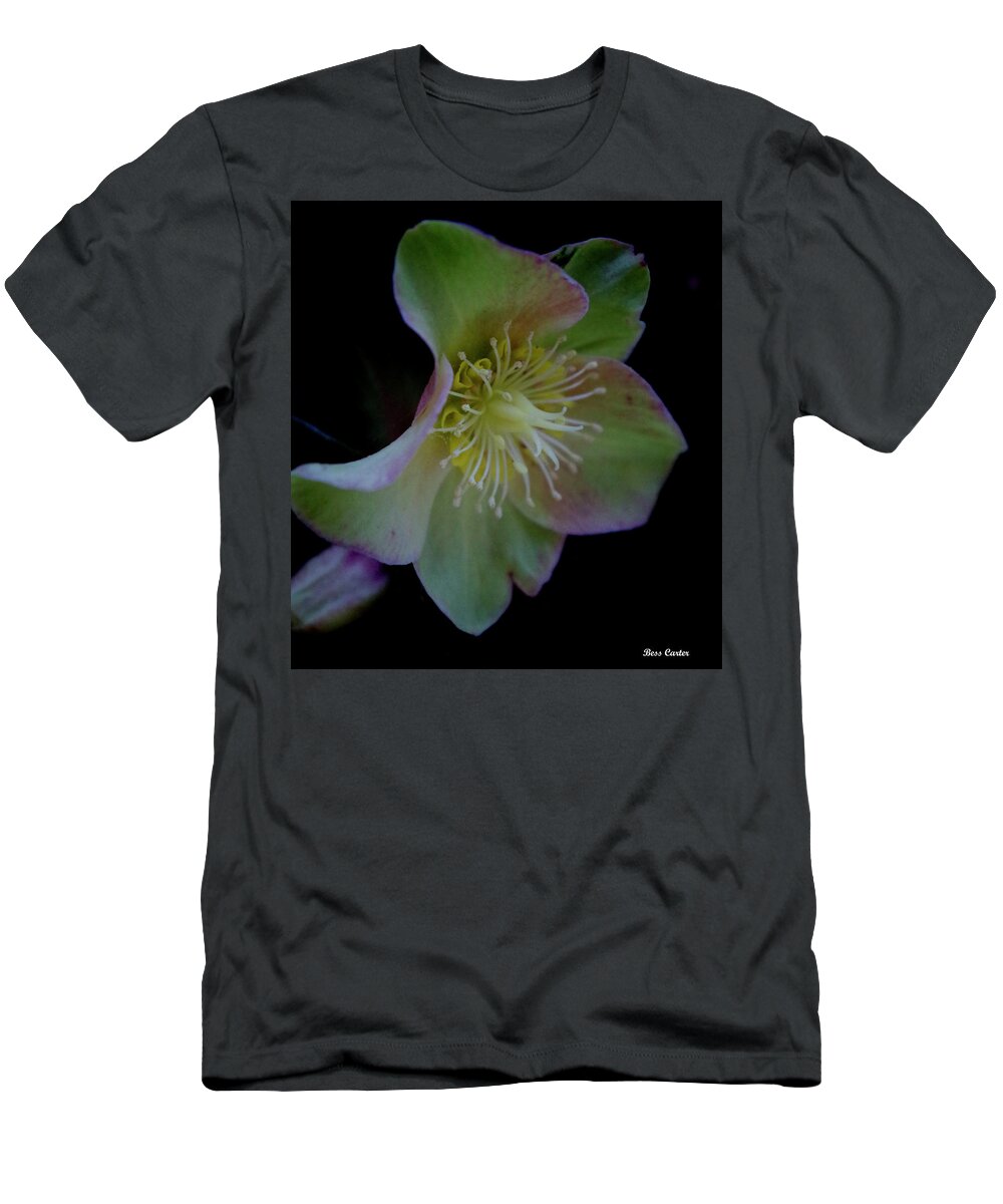 Flower T-Shirt featuring the photograph Beauty Awakens by Bess Carter
