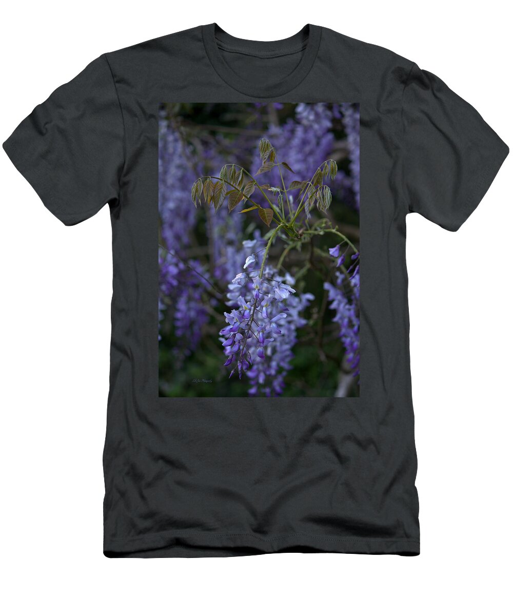 Purple T-Shirt featuring the photograph Beauty In Purple by Jeanette C Landstrom