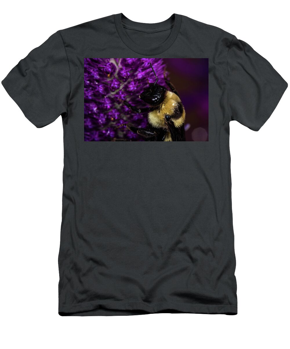 Jay Stockhaus T-Shirt featuring the photograph Bee and Purple Flower 2 by Jay Stockhaus