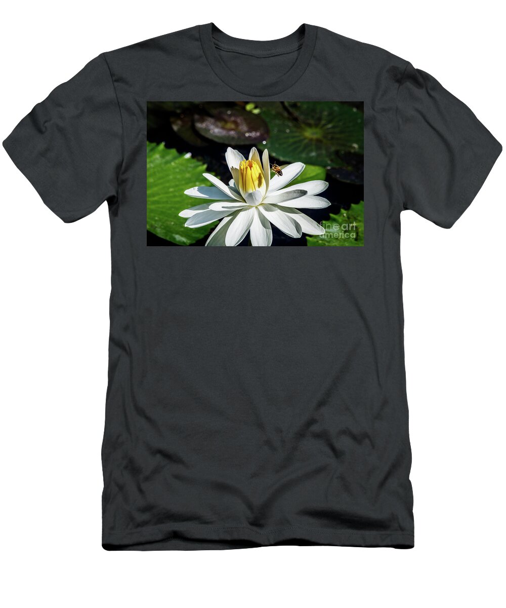 Lily T-Shirt featuring the photograph Bee in a flower by Les Greenwood