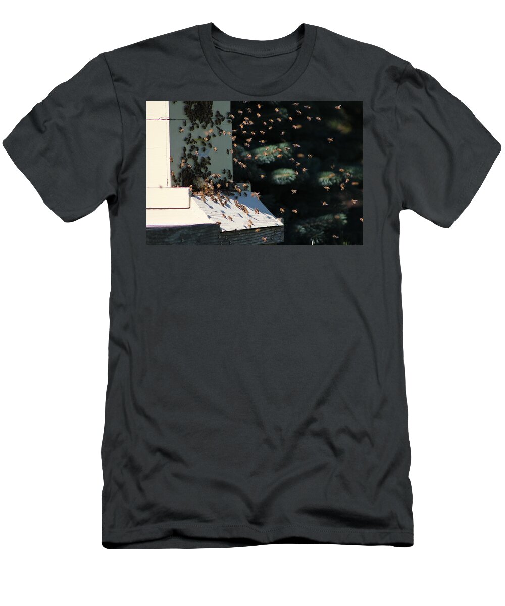 Honey Bee T-Shirt featuring the photograph Bee Keepers Hive Chicago Botanical Gardens by Colleen Cornelius