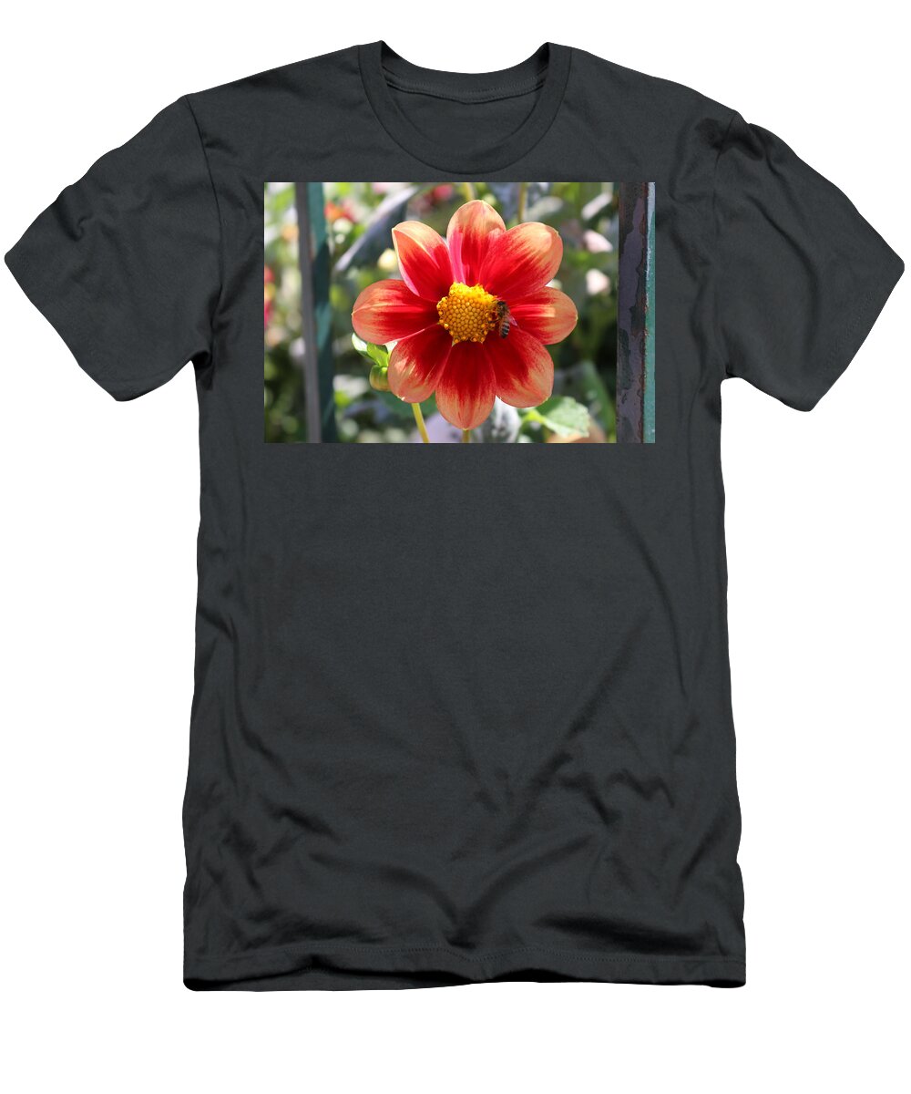 Bee T-Shirt featuring the photograph Bee on a Flower by Christy Pooschke