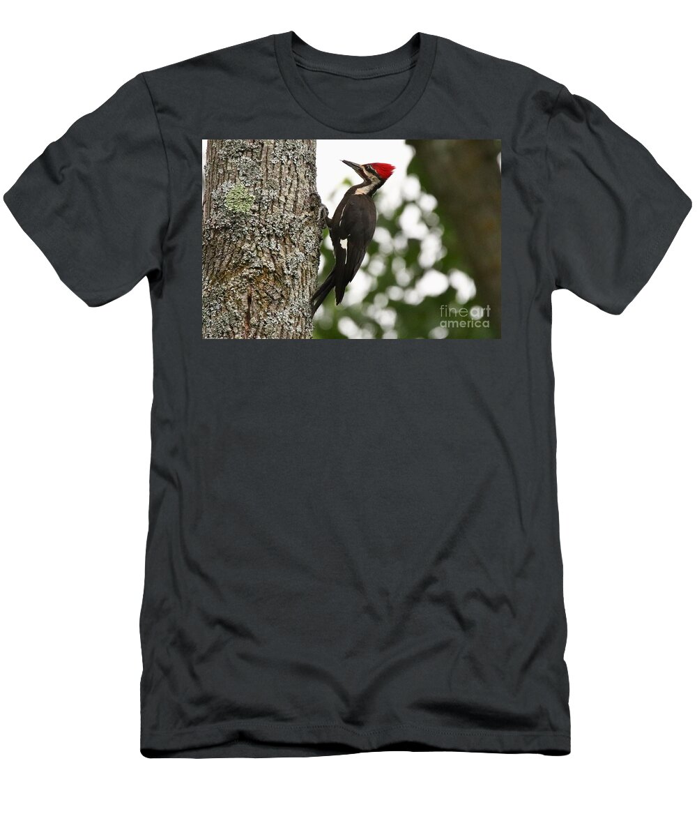  Pileated Woodpecker T-Shirt featuring the photograph Behold the Pileated Woodpecker by Tony Lee