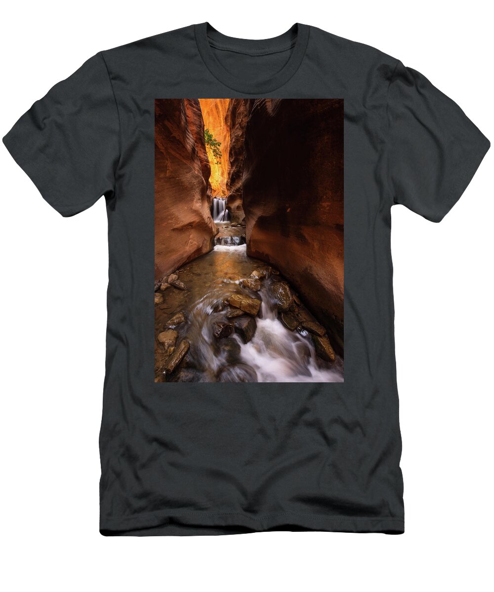 Kanarraville T-Shirt featuring the photograph Beloved by Dustin LeFevre