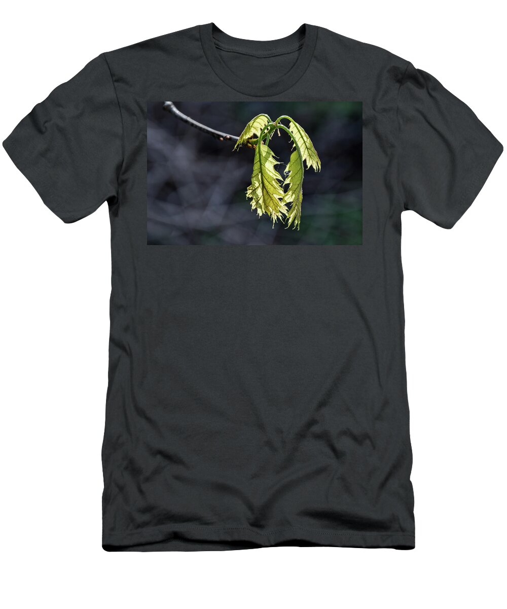Oak Leaves T-Shirt featuring the photograph Bent on Growing - by Julie Weber