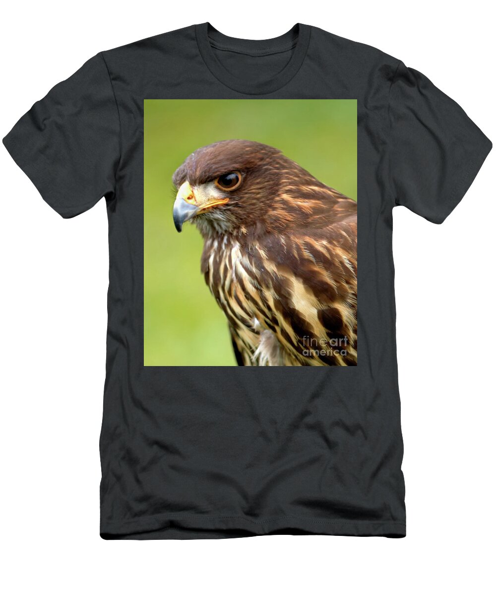 Bird T-Shirt featuring the photograph Beware The Predator by Stephen Melia