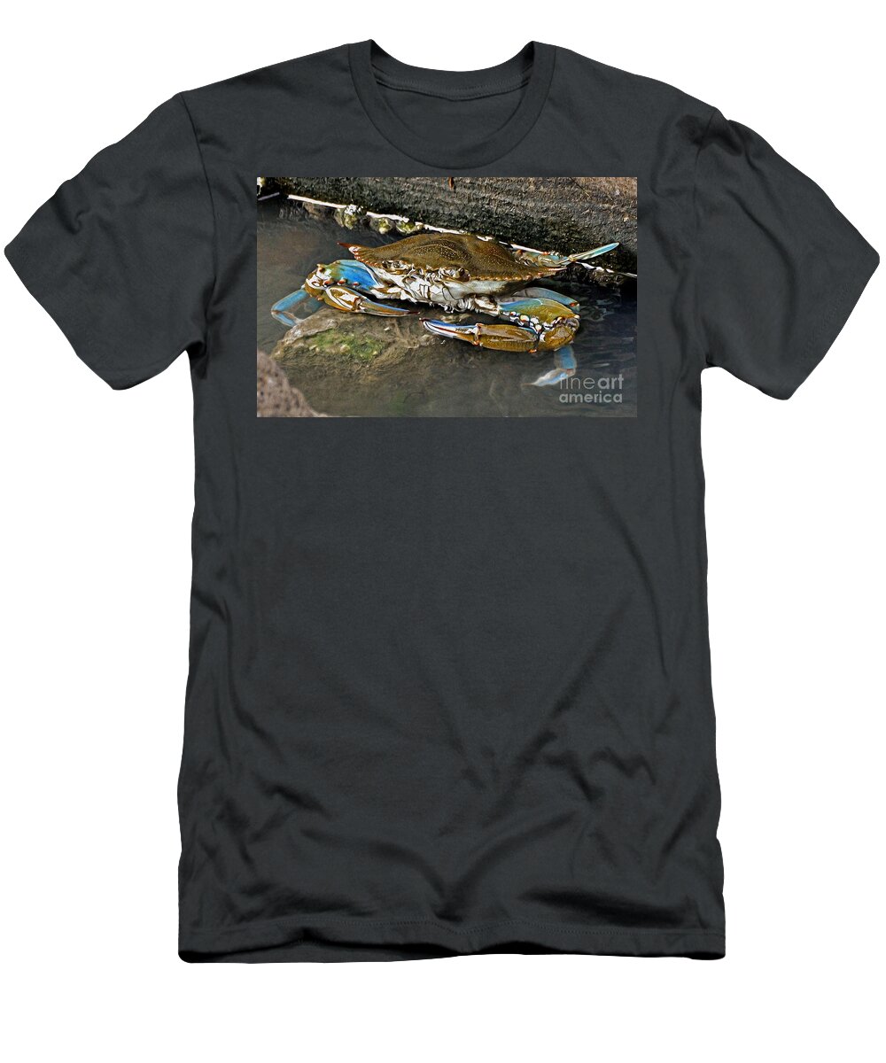 Crab T-Shirt featuring the photograph Big Blue by Kathy Baccari