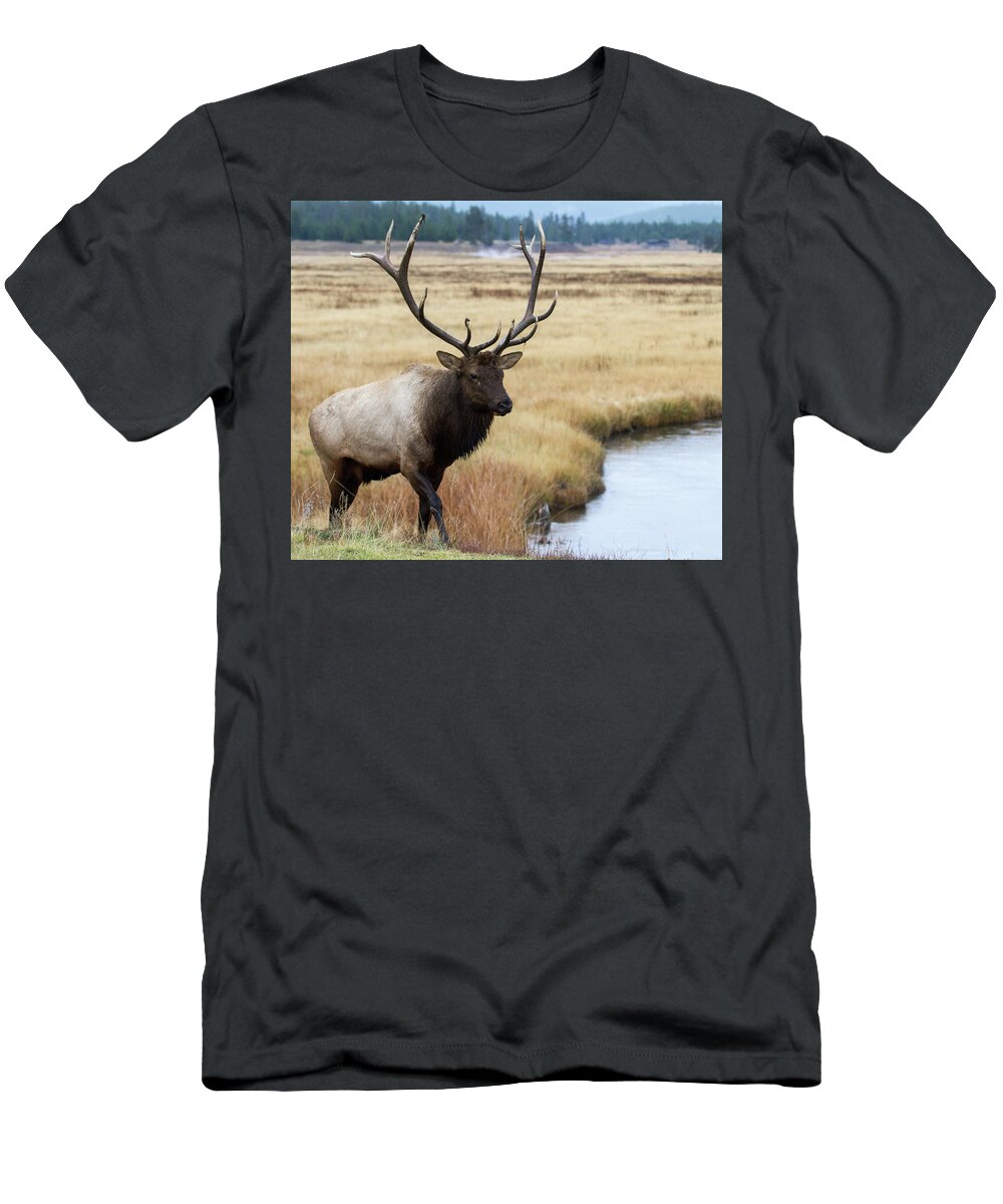 Elk T-Shirt featuring the photograph Big Bull Elk by Wesley Aston