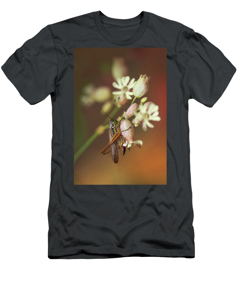 Macro T-Shirt featuring the photograph Big grasshopper on white flowers by Jaroslaw Blaminsky