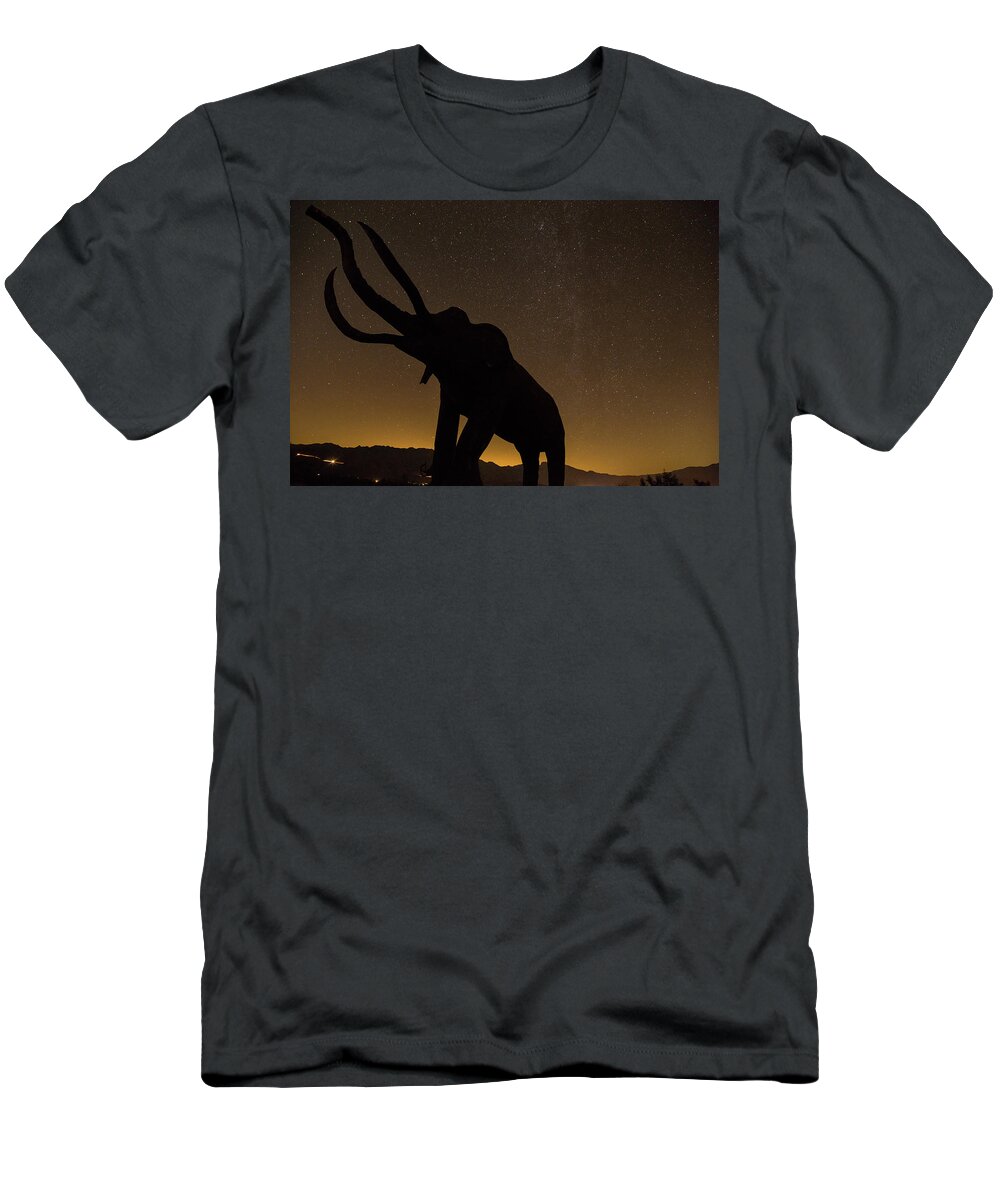 Anza Borrego Sculptures T-Shirt featuring the photograph Big things by Kunal Mehra
