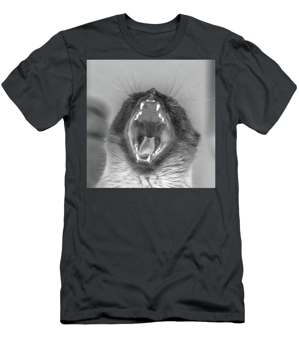 Kitten T-Shirt featuring the photograph Big Yawn by Jennifer Grossnickle