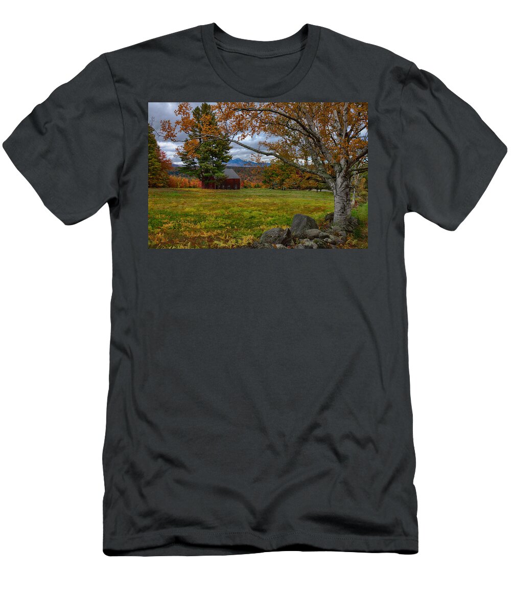 Chocorua Fall Colors T-Shirt featuring the photograph Birch over the mountains by Jeff Folger