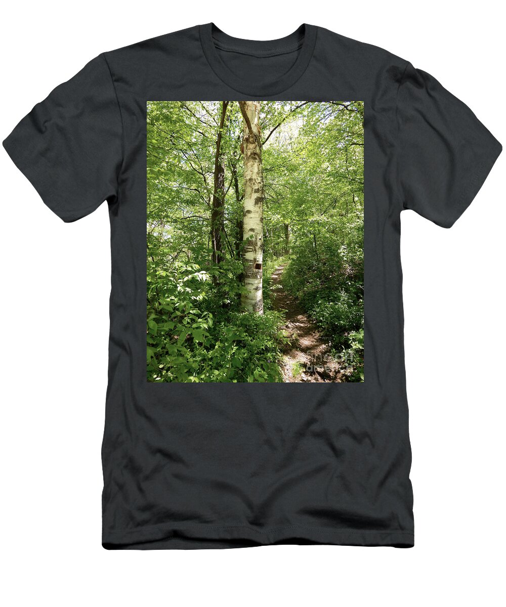 Photography T-Shirt featuring the photograph Birch Tree Hiking Trail by Phil Perkins