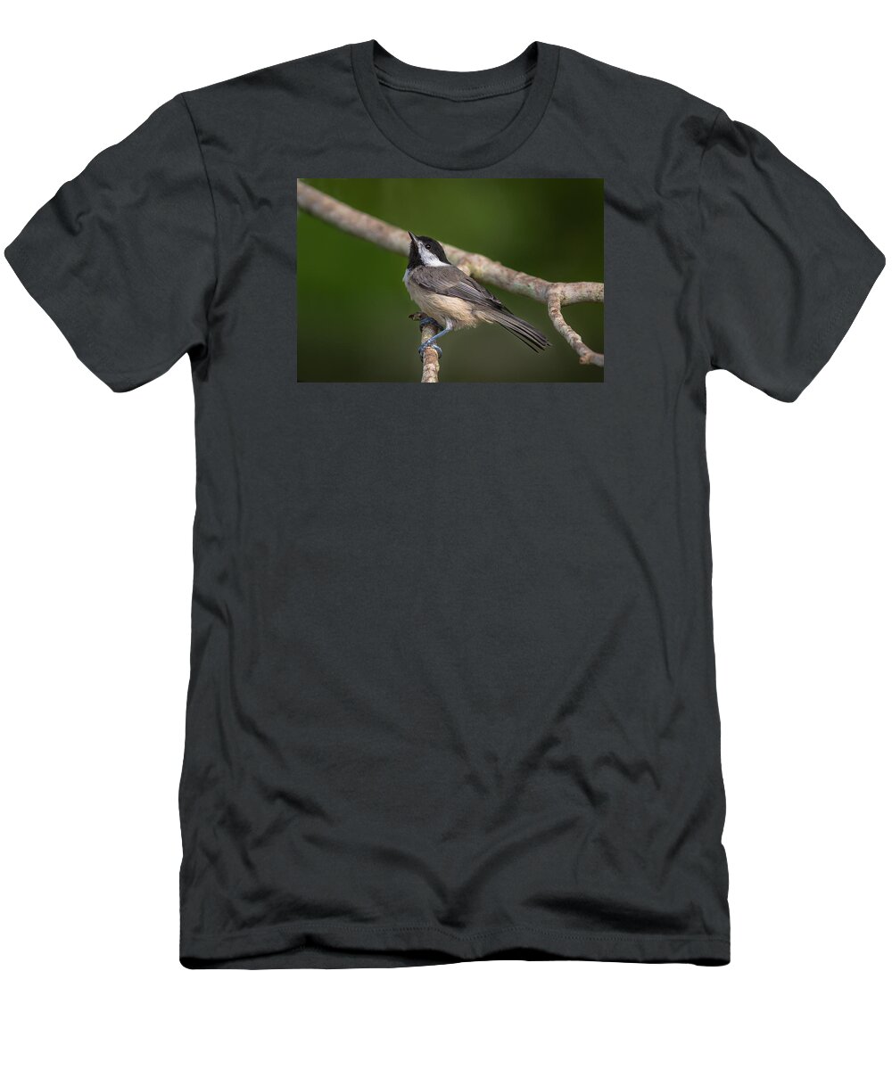 Bird T-Shirt featuring the photograph Carolina Chickadee by Kevin Giannini