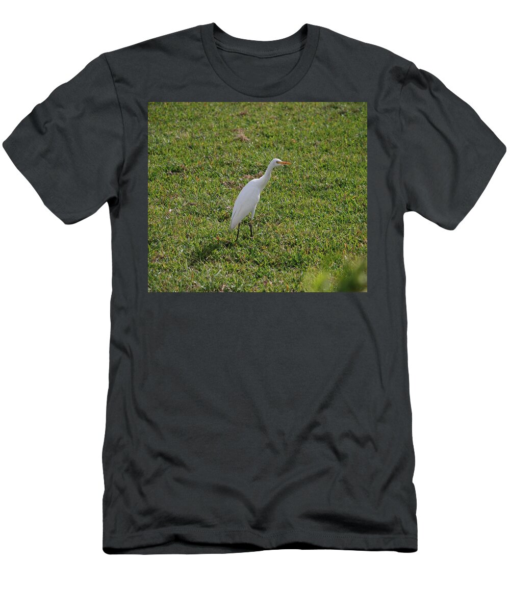 White Bird T-Shirt featuring the photograph Bird Is The Word by Rob Hans