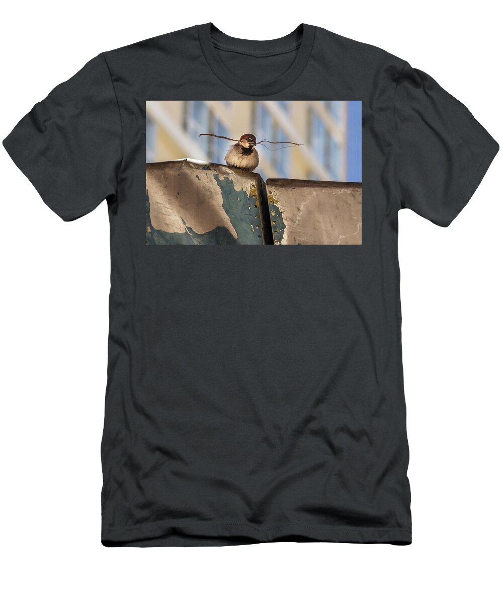 Beak T-Shirt featuring the photograph Bird with Twig by Roslyn Wilkins